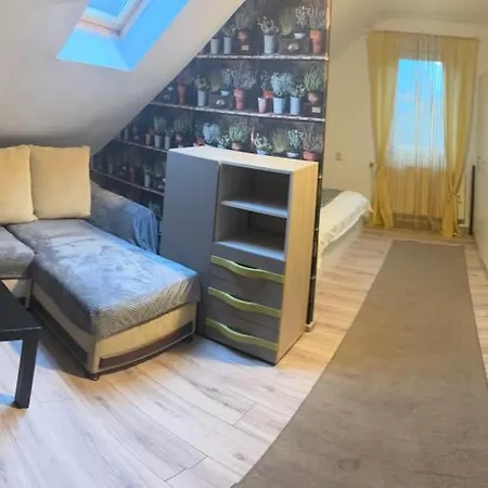 Renata Cozy Cluj-Napoca